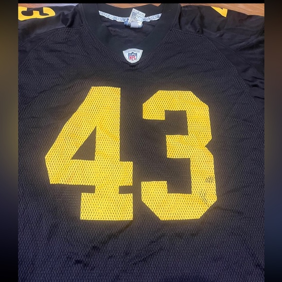 Troy Polamalu steelers onfield jersey - Picture 3 of 5